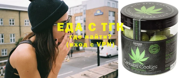 индика Осинники