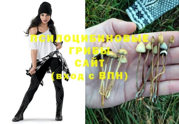 ALPHA-PVP Нягань